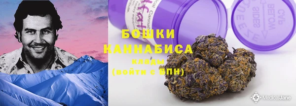 дмт Анива