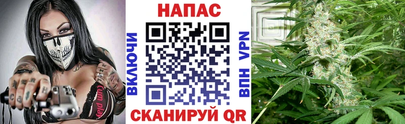 МЕГА ссылка  Североморск  Марихуана White Widow  что такое  